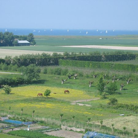Resort De Vlasschure Wissenkerke Εξωτερικό φωτογραφία